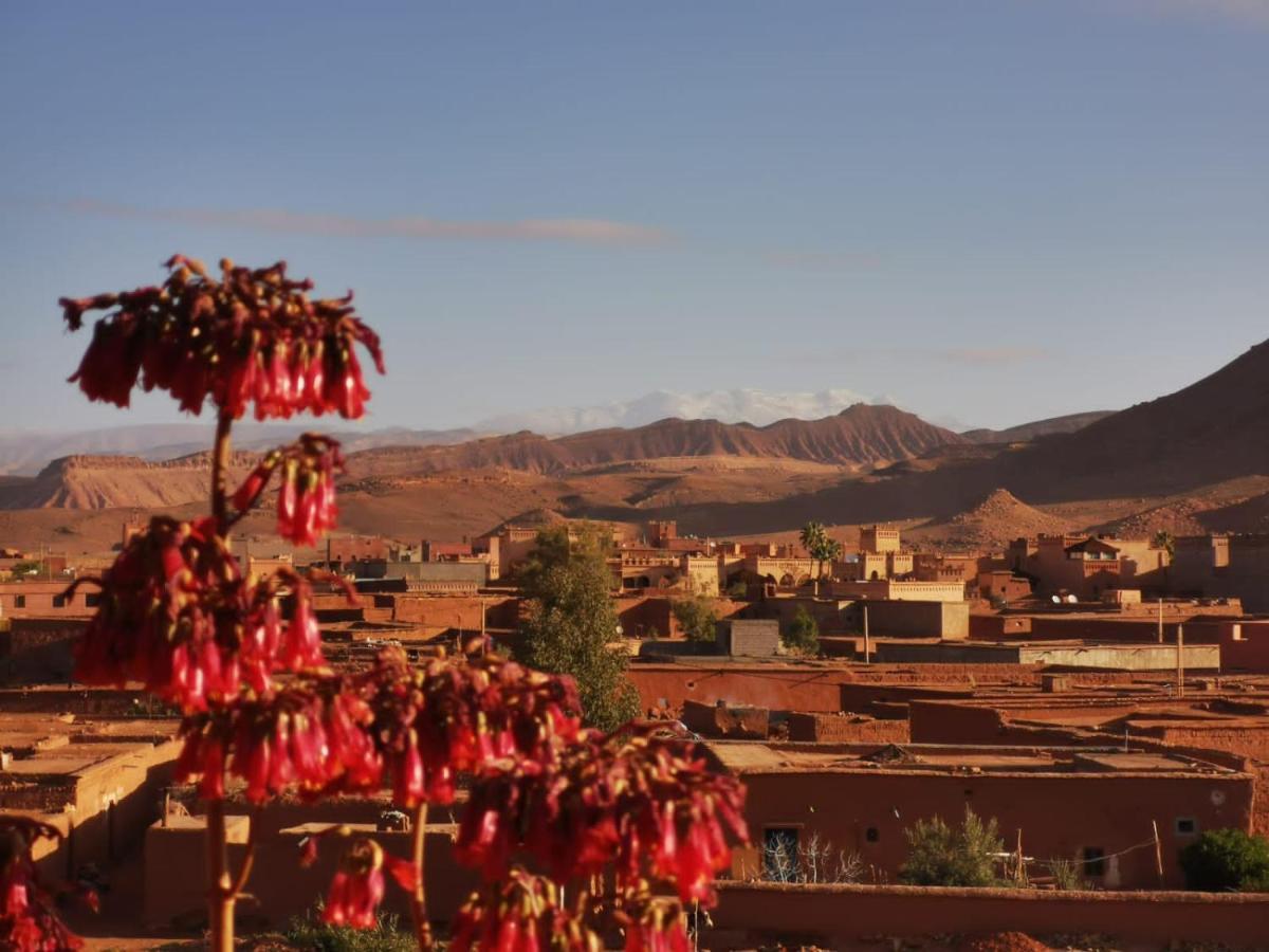 Riad Tigmi Du Soleil Aït Benhaddou Eksteriør bilde